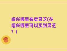绍兴哪里有卖灵芝(在绍兴哪里可以买到灵芝？)