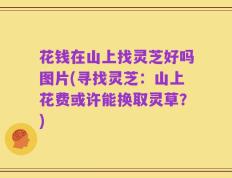 花钱在山上找灵芝好吗图片(寻找灵芝：山上花费或许能换取灵草？)