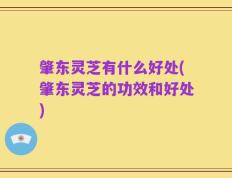 肇东灵芝有什么好处(肇东灵芝的功效和好处)