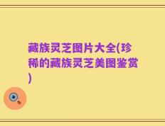 藏族灵芝图片大全(珍稀的藏族灵芝美图鉴赏)