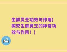 生鲜灵芝功效与作用(探究生鲜灵芝的神奇功效与作用！)