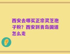 西安去哪买正宗灵芝孢子粉？西安到青岛国道怎么走