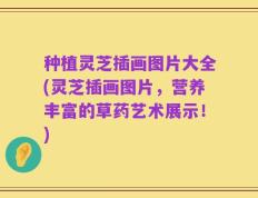 种植灵芝插画图片大全(灵芝插画图片，营养丰富的草药艺术展示！)