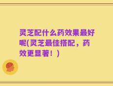灵芝配什么药效果最好呢(灵芝最佳搭配，药效更显著！)