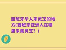 西班牙华人采灵芝的地方(西班牙亚洲人在哪里采集灵芝？)