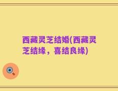 西藏灵芝结婚(西藏灵芝结缘，喜结良缘)