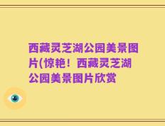 西藏灵芝湖公园美景图片(惊艳！西藏灵芝湖公园美景图片欣赏