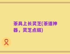 茶具上长灵芝(茶道神器，灵芝点缀)