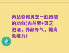 肉丛蓉和灵芝一起泡酒的功效(肉丛蓉+灵芝泡酒，养颜补气，提高免疫力)
