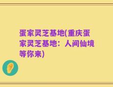 蛋家灵芝基地(重庆蛋家灵芝基地：人间仙境等你来)