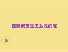 西藏灵芝是怎么吃的呢