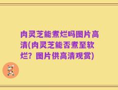 肉灵芝能煮烂吗图片高清(肉灵芝能否煮至软烂？图片供高清观赏)