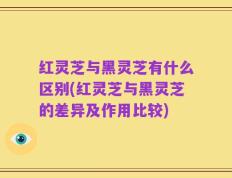 红灵芝与黑灵芝有什么区别(红灵芝与黑灵芝的差异及作用比较)