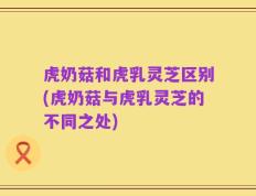 虎奶菇和虎乳灵芝区别(虎奶菇与虎乳灵芝的不同之处)