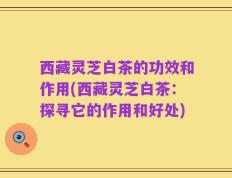 西藏灵芝白茶的功效和作用(西藏灵芝白茶：探寻它的作用和好处)