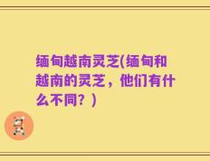 缅甸越南灵芝(缅甸和越南的灵芝，他们有什么不同？)