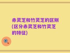 赤灵芝和竹灵芝的区别(区分赤灵芝和竹灵芝的特征)