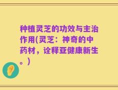 种植灵芝的功效与主治作用(灵芝：神奇的中药材，诠释亚健康新生。)