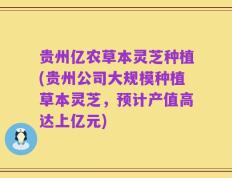 贵州亿农草本灵芝种植(贵州公司大规模种植草本灵芝，预计产值高达上亿元)