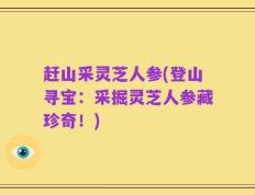 赶山采灵芝人参(登山寻宝：采掘灵芝人参藏珍奇！)