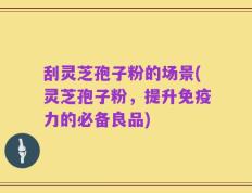 刮灵芝孢子粉的场景(灵芝孢子粉，提升免疫力的必备良品)