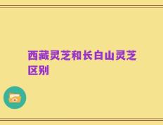 西藏灵芝和长白山灵芝区别
