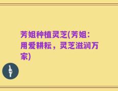 芳姐种植灵芝(芳姐：用爱耕耘，灵芝滋润万家)