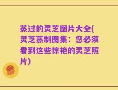 蒸过的灵芝图片大全(灵芝蒸制图集：您必须看到这些惊艳的灵芝照片)