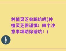 种植灵芝会踩坑吗(种植灵芝需谨慎！四个注意事项助你避坑！)