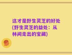这才是野生灵芝的好处(野生灵芝的益处：从林间走出的宝藏)