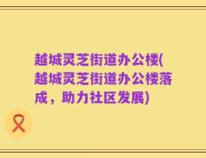 越城灵芝街道办公楼(越城灵芝街道办公楼落成，助力社区发展)