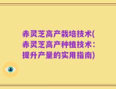 赤灵芝高产栽培技术(赤灵芝高产种植技术：提升产量的实用指南)