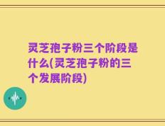 灵芝孢子粉三个阶段是什么(灵芝孢子粉的三个发展阶段)