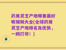 药用灵芝产地哪里最好呢视频大全(全球药用灵芝产地排名及优势，一网打尽！)