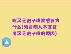 吃灵芝孢子粉要感冒为什么(感冒病人不宜食用灵芝孢子粉的原因)