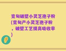 宽甸破壁小灵芝孢子粉(宽甸产小灵芝孢子粉，破壁工艺提高吸收率)