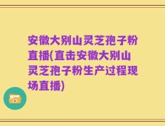 安徽大别山灵芝孢子粉直播(直击安徽大别山灵芝孢子粉生产过程现场直播)