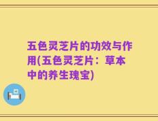 五色灵芝片的功效与作用(五色灵芝片：草本中的养生瑰宝)