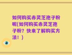 如何购买赤灵芝孢子粉呢(如何购买赤灵芝孢子粉？快来了解购买方法！)