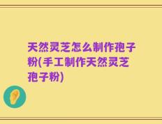 天然灵芝怎么制作孢子粉(手工制作天然灵芝孢子粉)