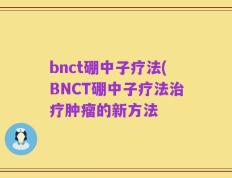 bnct硼中子疗法(BNCT硼中子疗法治疗肿瘤的新方法