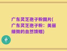 广东灵芝孢子粉图片(广东灵芝孢子粉：美丽细微的自然馈赠)