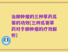 治肺肿瘤的三种草药瓜蒌的功效(三种瓜蒌草药对于肺肿瘤的疗效解析)