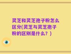 灵芝和灵芝孢子粉怎么区分(灵芝与灵芝孢子粉的区别是什么？)