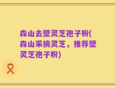 森山去壁灵芝孢子粉(森山采摘灵芝，推荐壁灵芝孢子粉)