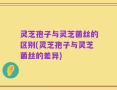 灵芝孢子与灵芝菌丝的区别(灵芝孢子与灵芝菌丝的差异)