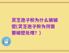 灵芝孢子粉为什么被破壁(灵芝孢子粉为何需要破壁处理？)