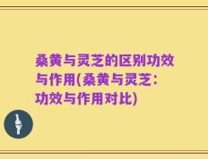 桑黄与灵芝的区别功效与作用(桑黄与灵芝：功效与作用对比)