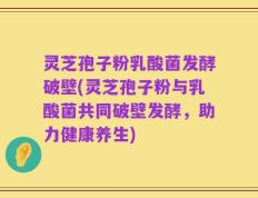 灵芝孢子粉乳酸菌发酵破壁(灵芝孢子粉与乳酸菌共同破壁发酵，助力健康养生)