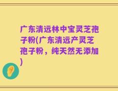 广东清远林中宝灵芝孢子粉(广东清远产灵芝孢子粉，纯天然无添加)